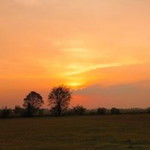 Anisa Putri profile icon