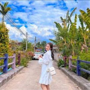 Nicky Nisachon profile icon