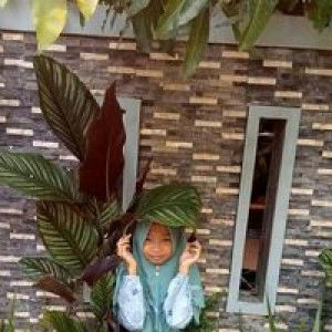 Farida Ay Suhendro profile icon