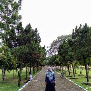 Qurrotul Aini profile icon