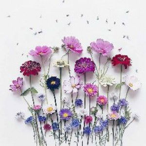 hani hazirah profile icon