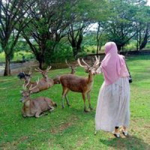 Yhanie Adiba Smart Hafiz profile icon