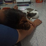 Berlin Manalo profile icon