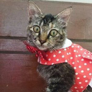 Dustie_ 19 profile icon