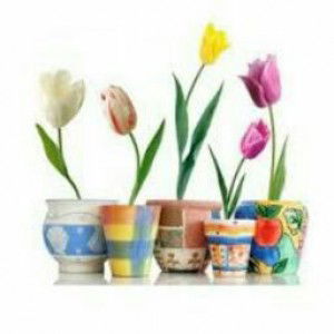 Amel Lia profile icon