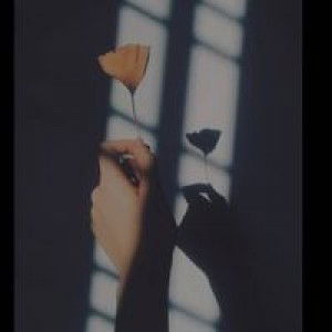 Trias Naharianti profile icon