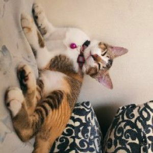 Mari Mari profile icon