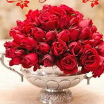 Sarania Saran profile icon