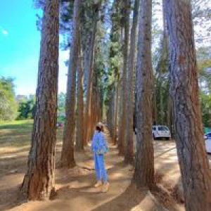 พลอย' พลอย' profile icon