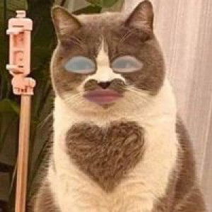 ปุ้น'น ไม่'ยอม'ม profile icon