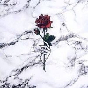 Amira Farihah profile icon