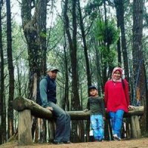 Dewi Nurhayati profile icon