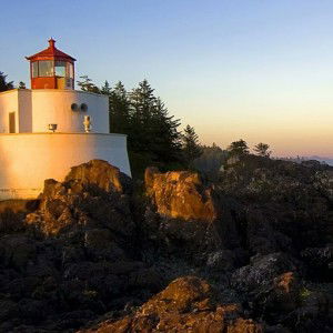 Vita Tias profile icon