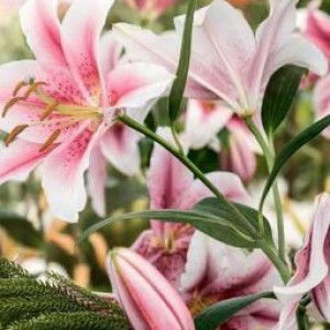 MS Weny profile icon