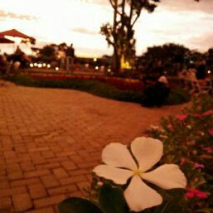 Siska Febrina profile icon