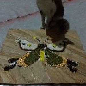 Arania Uevas Laurente profile icon