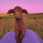 Natthaporn Sutarram profile icon