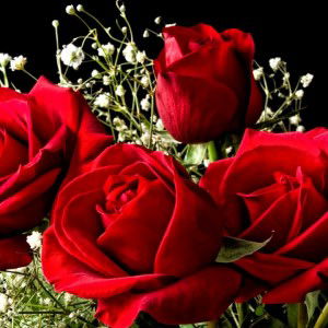 Tya Inara profile icon