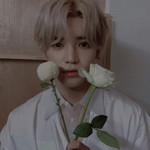 Eyla Nabieylla profile icon