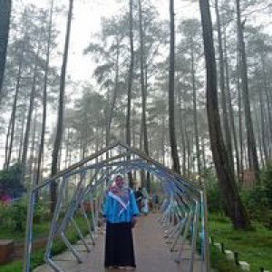 Novita Priyati profile icon