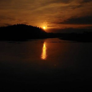 mukti lestari profile icon
