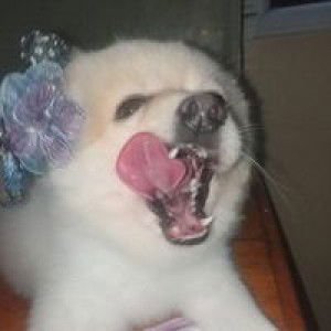 Gnhatalie Subron profile icon