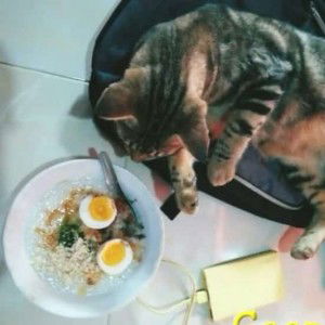 Nurhamna Mahamu profile icon