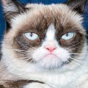 Jona Roscain profile icon