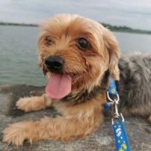 Nikki BP profile icon