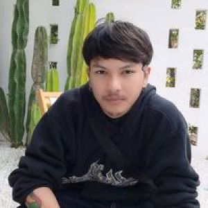 พีรพงศ์ (เกรทฮานิ) profile icon