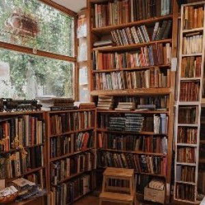 Rena Apriliani profile icon