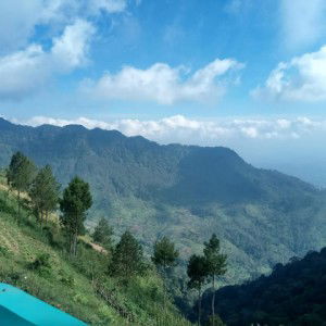 Fahrul Rizal profile icon