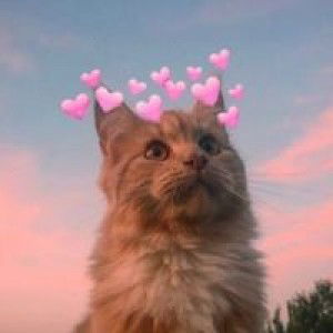 Nor Hanan Ismin profile icon