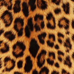 ambaria zuber profile icon