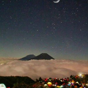 Elia Liyaliyo profile icon