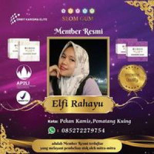 Elvii Rahayuu Sitorus profile icon