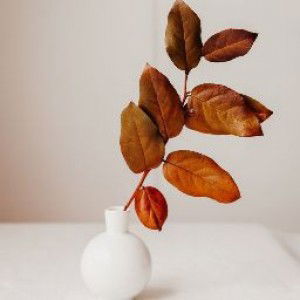 Anisaa N profile icon