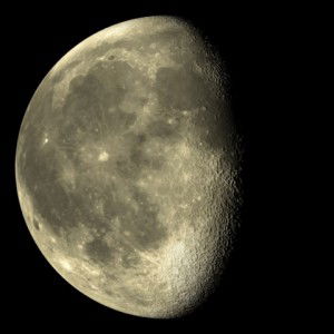 ROSALINA profile icon