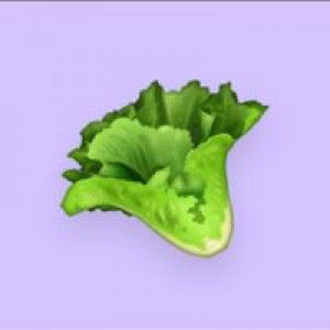 NellaHokyanita profile icon