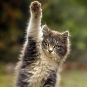 JT Audio profile icon