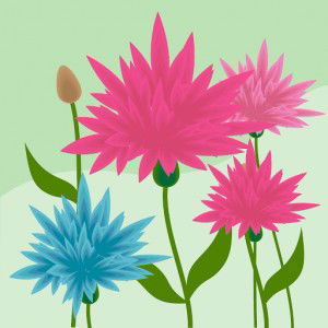 Ny Heni profile icon