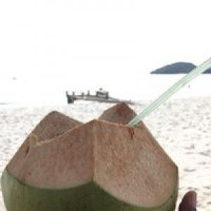 Shantheni Danabalan profile icon