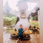 Aciel Aje profile icon