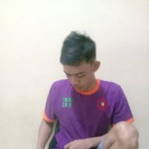 Sebarisnama profile icon