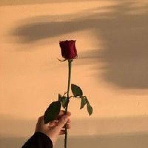 หลบหน่อย เป็ดจะเดิน profile icon