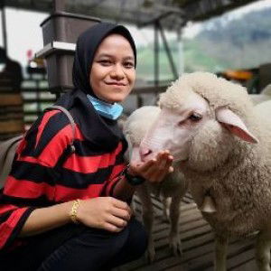 Mysara Eddy profile icon