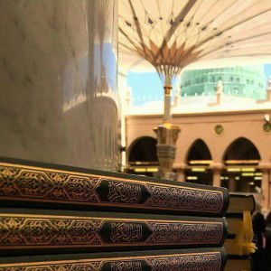 Isti rufina profile icon