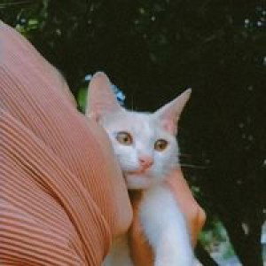 Ina Ristiana profile icon
