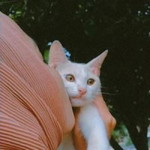 Ina Ristiana profile icon