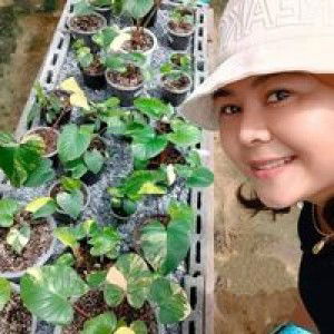 Phusanisa Phung Pinsuwan profile icon